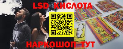 гашик Можга