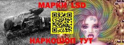 гашик Можга