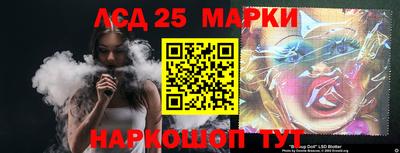 гашик Можга