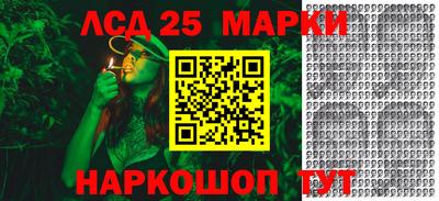 гашик Можга