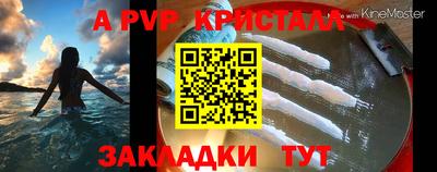 гашик Можга