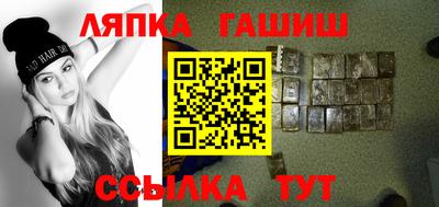 гашик Можга