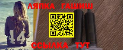 гашик Можга