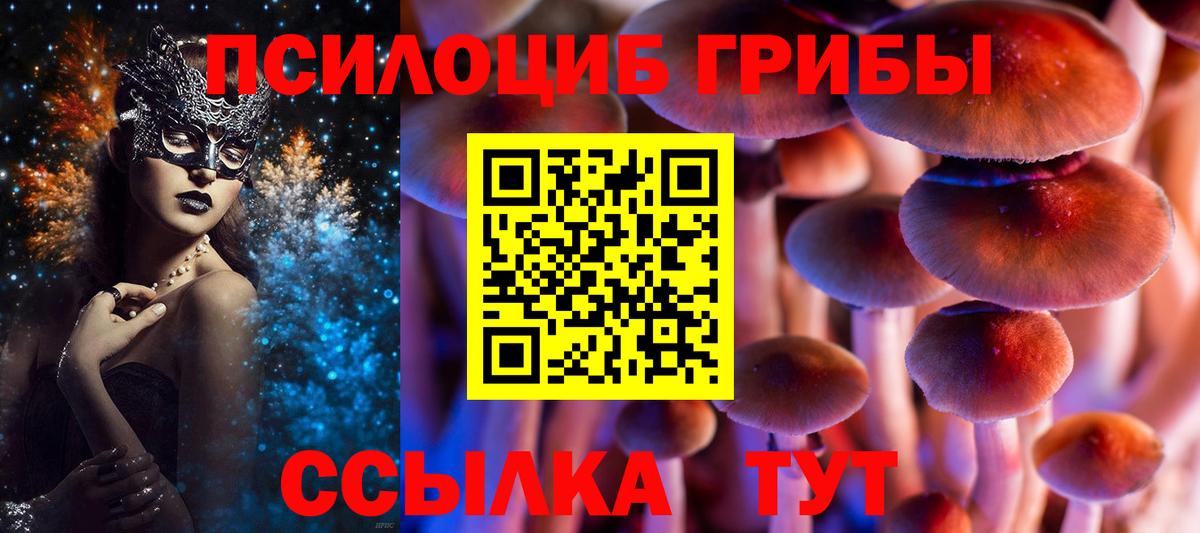 Шебекино  Псилоцибиновые грибы MAGIC MUSHROOMS  Вход с VPN 