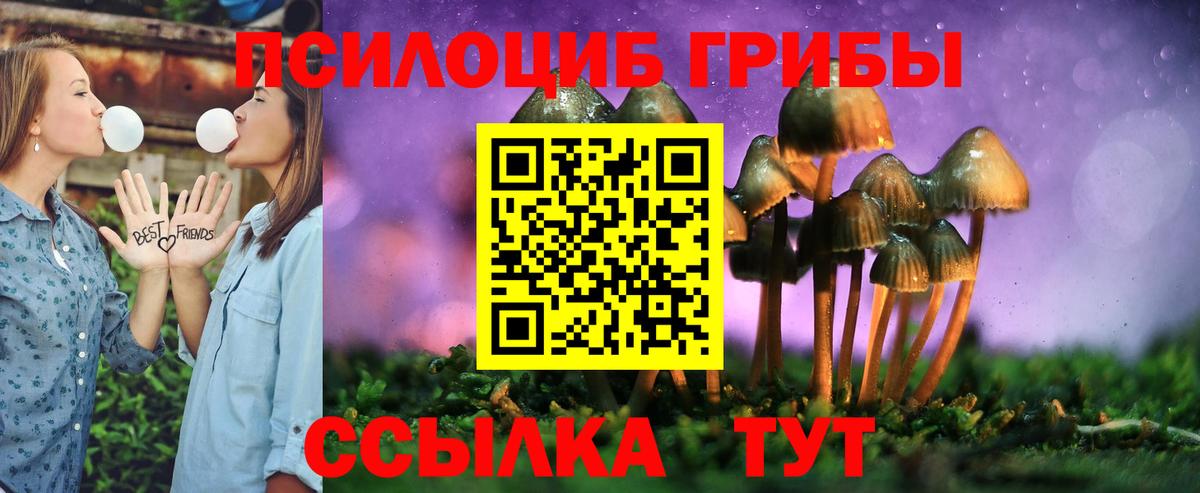 Галлюциногенные грибы Psilocybe Шебекино