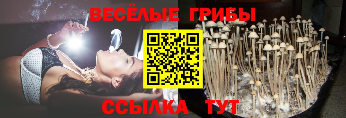 Codein Шебекино